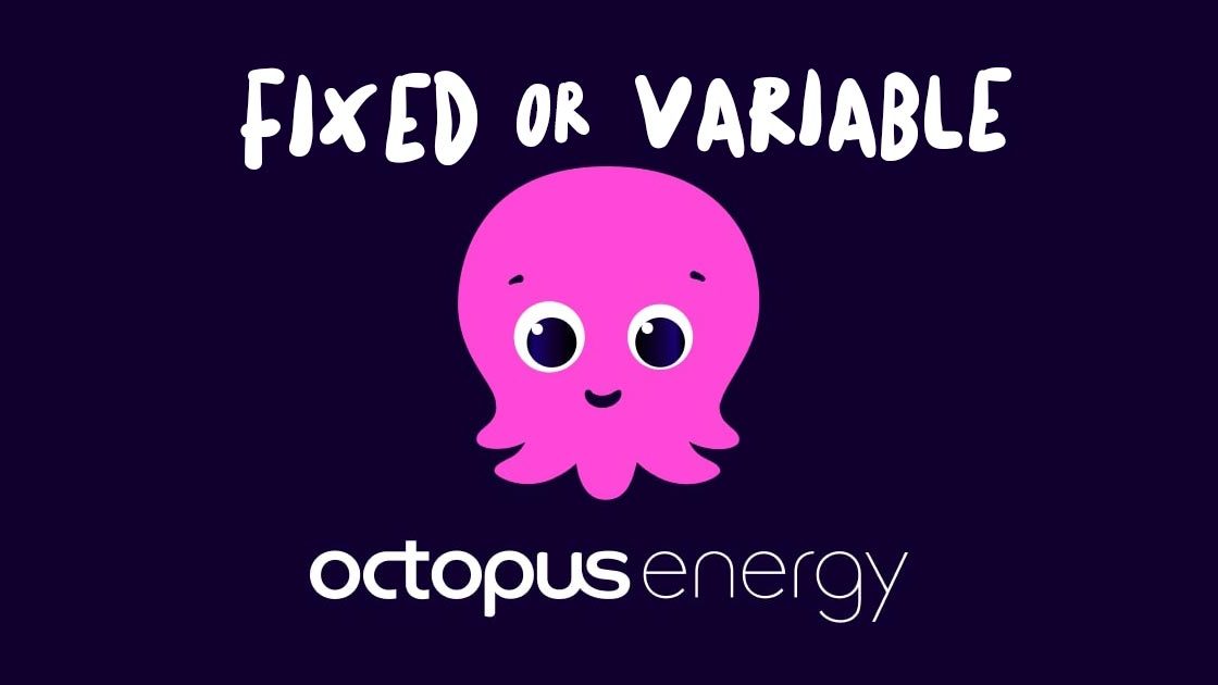 Find the Cheapest Octopus Energy Tariff Today AES Limited