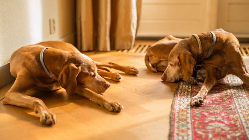 warm-house-1